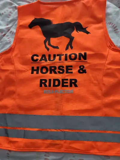 Brand new, never worn, no longer have a horse...