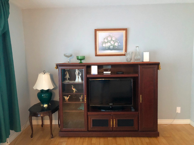 Entertainment Center in TV Tables & Entertainment Units in Moncton