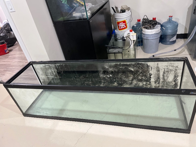 6 ft long tank no leaks and holds water perfect Accessories