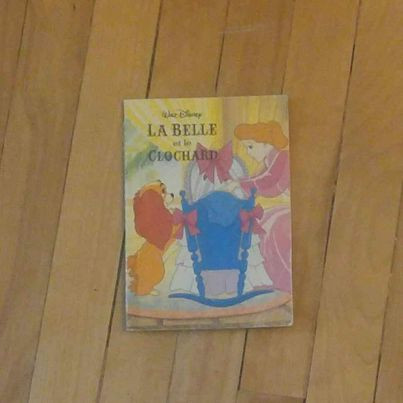 6 livres: DISNEY: LA BELLE ET LE CLOCHARD. Etc. in Children & Young Adult in Gatineau