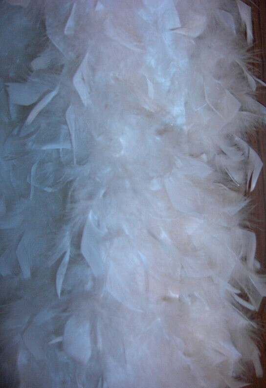 Wearable Angel Wings in Costumes in City of Halifax - Image 2