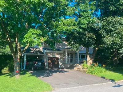 Summer Sublet