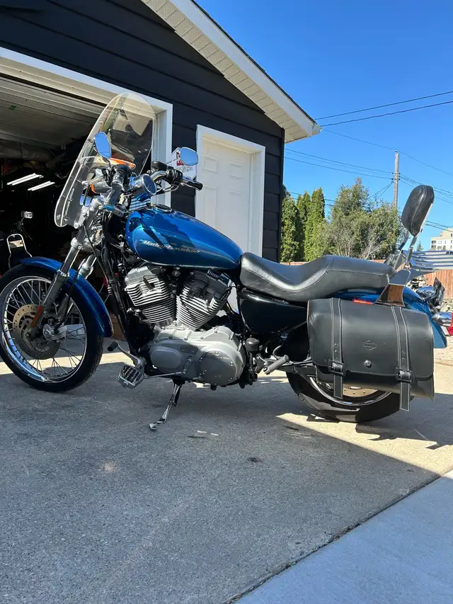 2005 Harley Davidson Sportster in Street, Cruisers & Choppers in Winnipeg - Image 2