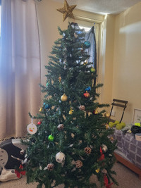 Christmas tree + lights