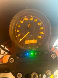 Harley Davidson Sporster Iron 2021 1200cc - 2873km