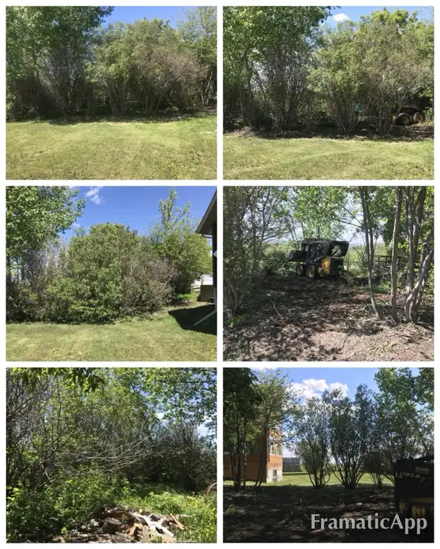 Full Service Landscaping Services 547959415180503043