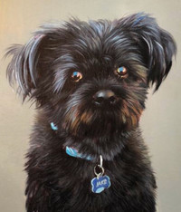 Gallery Quality portraits of your pet by Portrait Artist