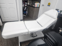 Professional facial and massage bed (sold )