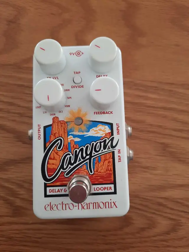  Canyon Pedal in Amps & Pedals in Muskoka - Image 2