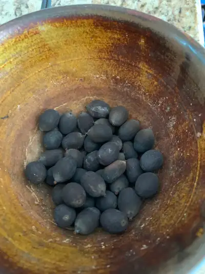 Lotus seeds, 10 seeds for $1, View more