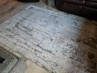 Indoor area rug