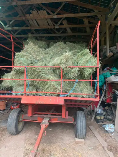 First cut 2025 Small Square Hay, View more