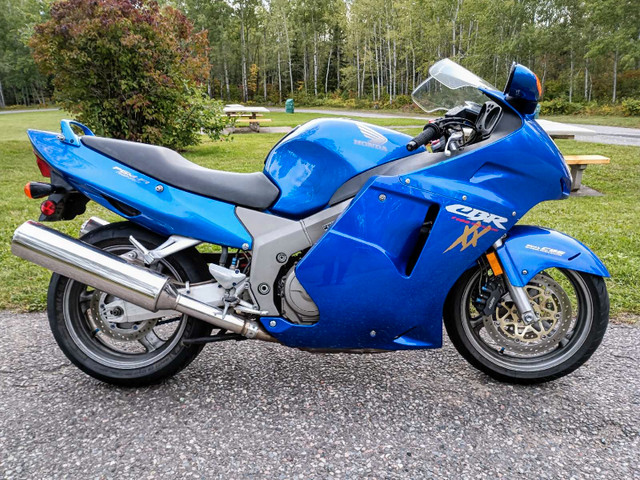 2000 Honda CBR1100XX Super Blackbird in Sport Touring in Thunder Bay - Image 2