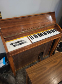 Frontalini Organ - Reduced Price