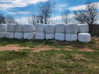 Silage for sale 