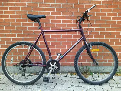 RALEIGH Ambush on XL Cromoly Frame, View more