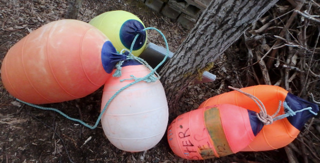 Decorative Grade Buoys in Other in Annapolis Valley - Image 3