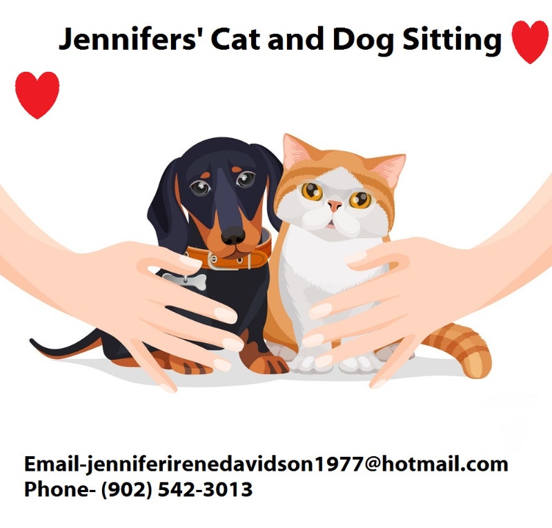 Jennifers' Cat and Dog Sitting Animal & Pet Services Annapolis