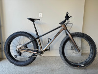 2023 Rocky Mountain C50 Fat Bike - New - Size L