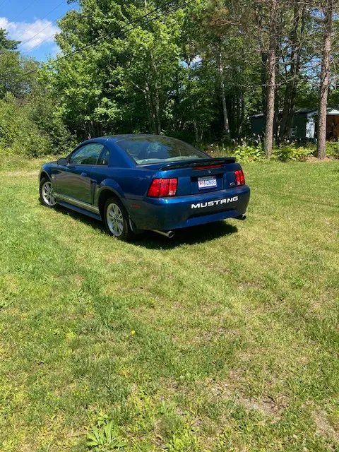 Ford Mustang $12,000 OBO