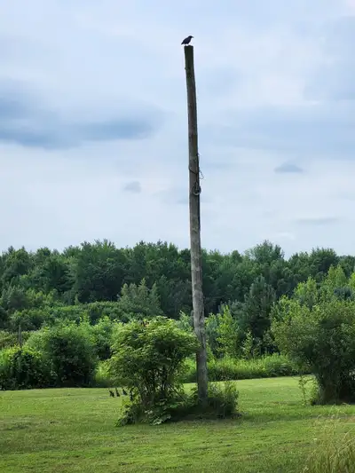 Hydro pole, View more