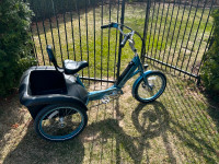 Tricycle électrique Pedego Trike