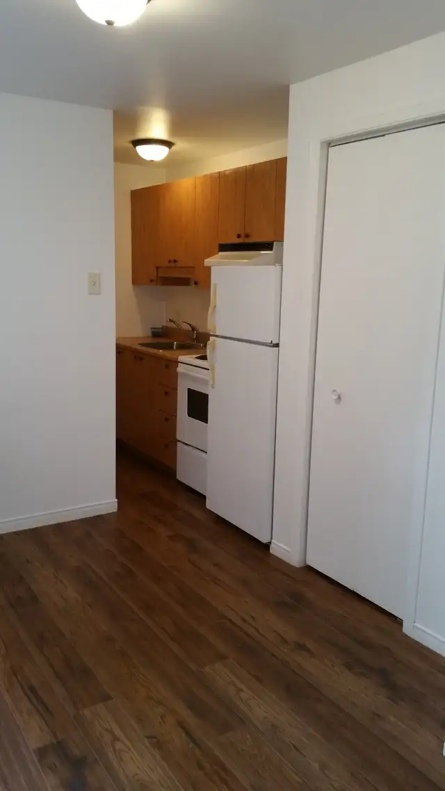 Very beautiful one-and-a-half apartments for rent (all-inclusive)