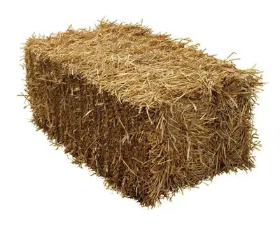 look for hay, View more