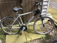 Men’s Raleigh Jump 2600 Bicycle