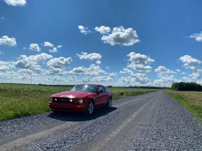 2008 Ford Mustang V6 4L Automatic Leather inside very clean Never winter driven Rear bumper faded by...
