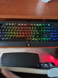 Razer BlackWidow Chroma Wired Mechanical Gaming Keyboard