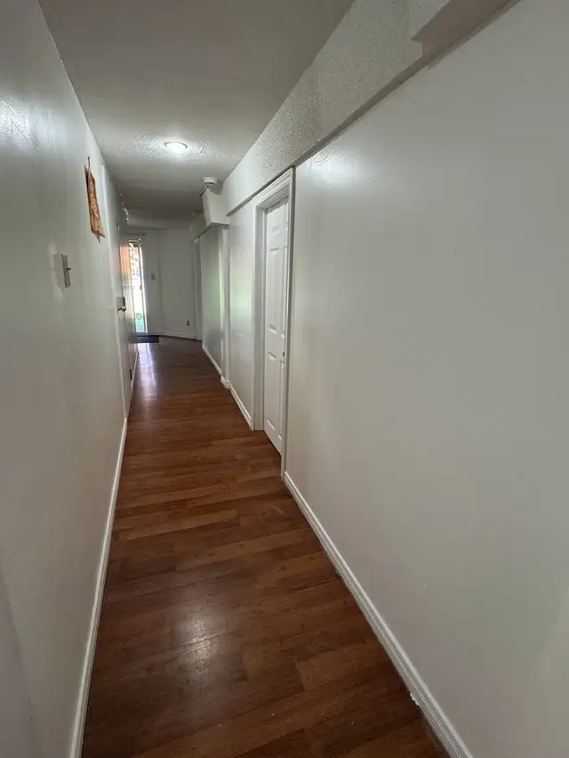 New Renovated Beautiful Furnished Rooms for Rent Near UTM | Room ...