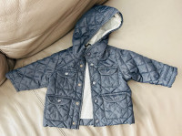 Zara Brand Fall Jacket (Size 3-6 Months)