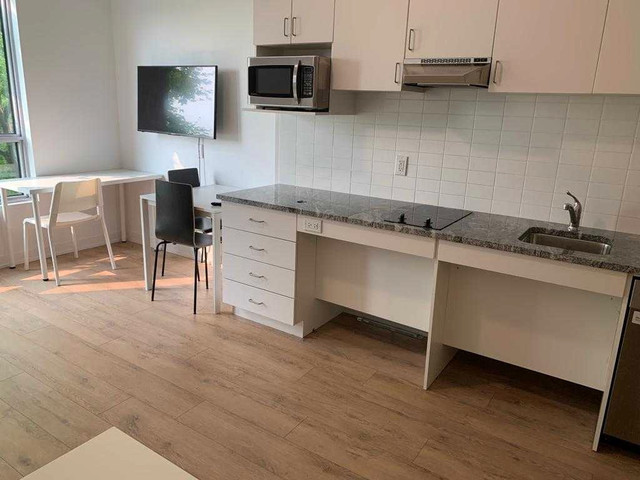 Studio near Durham college OTU in Long Term Rentals in Oshawa / Durham Region - Image 2