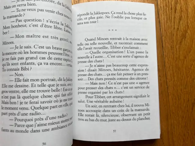 LIVRE ENFANT ADO JEUNESSE * MIAOU  *de ANNIE M.G. SCHMIDT in Children & Young Adult in Longueuil / South Shore - Image 3
