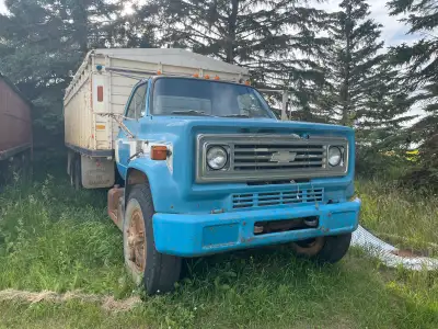 I am selling a 1975 Chev C65 tandem grain truck, good box and hoist has a good tarp, air brakes ,427...
