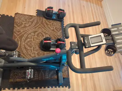 Vélo stationnaire Everlast presque pas utilisé. Vient avec banc en mousse supplémentaire pour un mei...