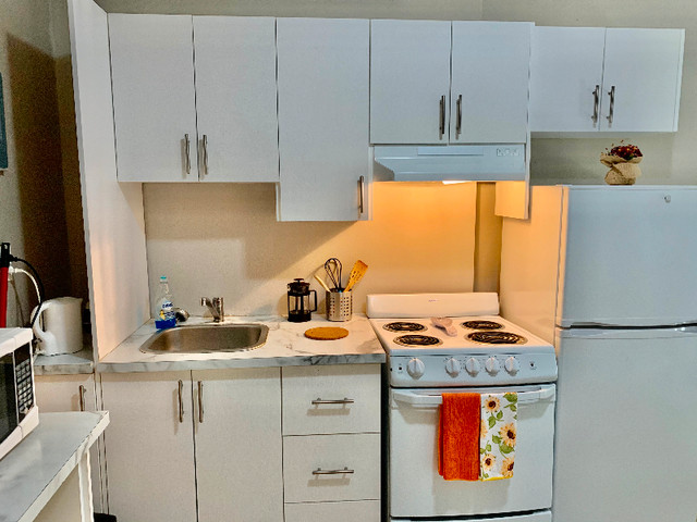 Clean , Renovated Furnished Apartment! Utilities included dans Locations longue durée  à Ville de Montréal - Image 3