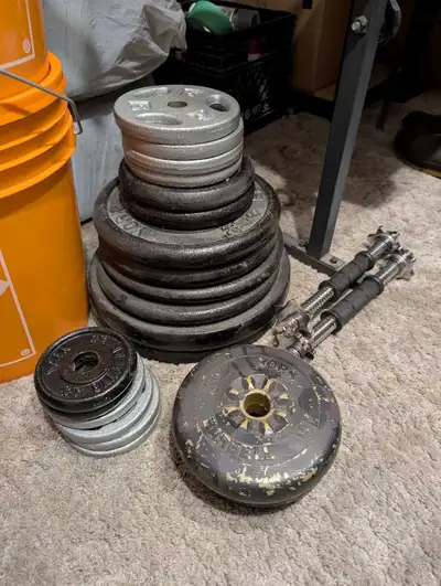 weights, bench, barbell and dumbbell bars, View more