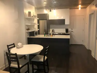 Luxurious furnished 1 bedroom condo in Griffintown