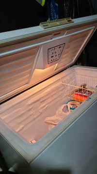 10 cubic ft chest freezer, get it now before it's gone.
