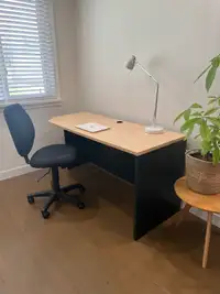 Desk and chair (can deliver)