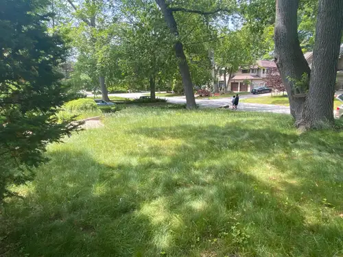Lawn Cutting Services – Starting at $50! Reliable, clean, and professional lawn care in your area! ✅...