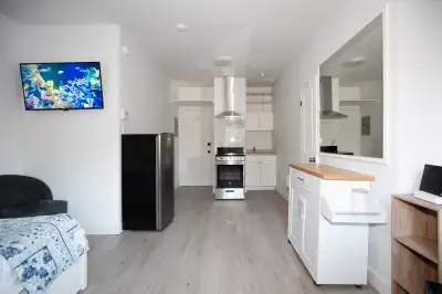 Furnished Studio - Downtown