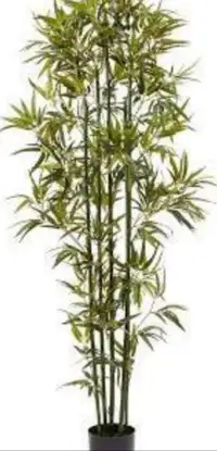 Moving Sale ARTIFICIAL BAMBOO PLANT FOR SALE