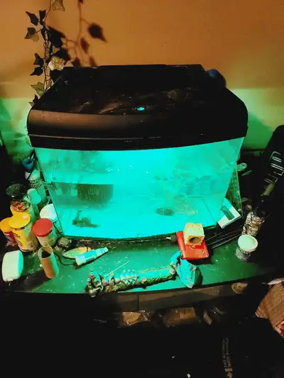 12 Gallon Aquarium Complete, View more