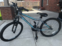 24 Inch Girls Mountain Bike