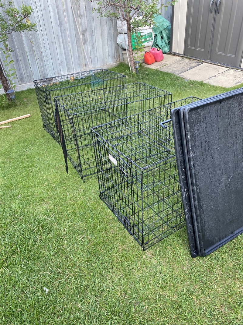 36 inch doge crates Accessories Edmonton Kijiji