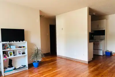 1 bedroom apartment