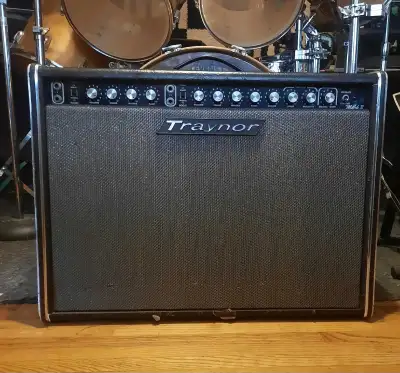 Traynor Mark III YGL-3 2x12, View more